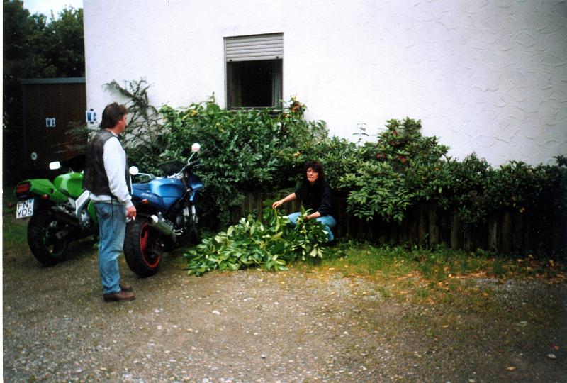 foto2.jpg