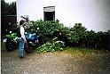 foto2